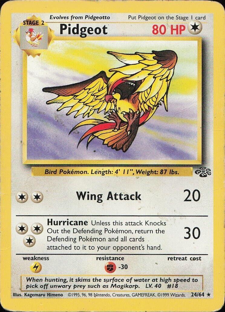 Pidgeot #024 Jungle (EN)